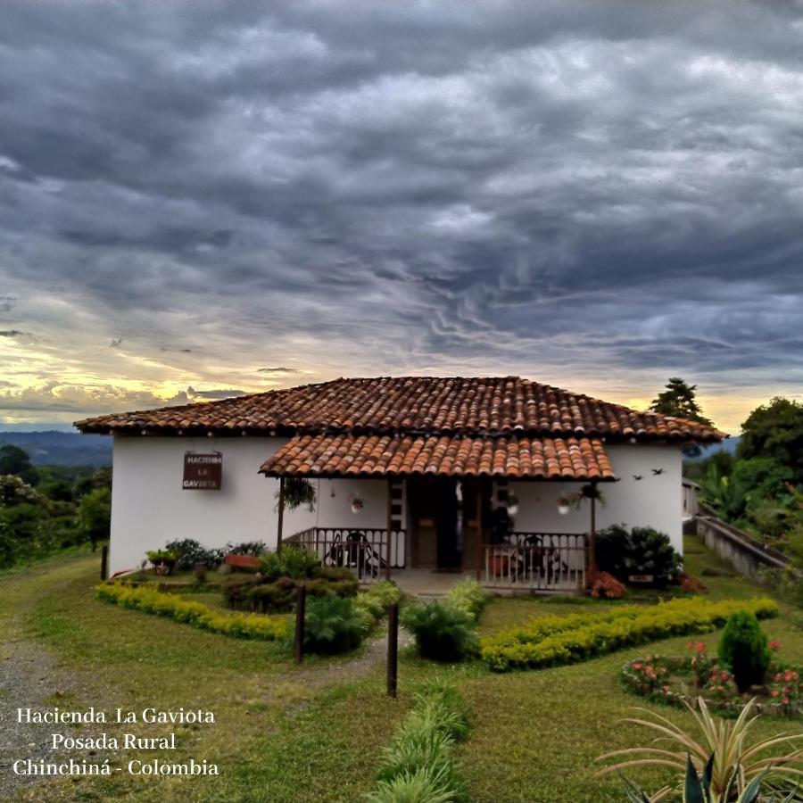 Villa Hacienda Cafetera La Gaviota Chinchiná Exterior foto